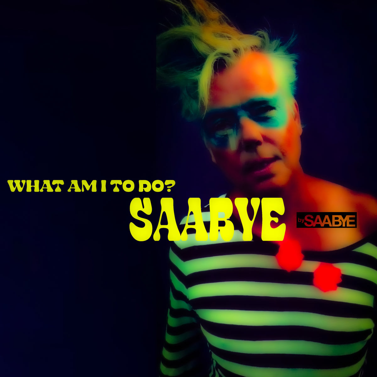 Album - What Am I To Do (Deluxe Audiophile Package)