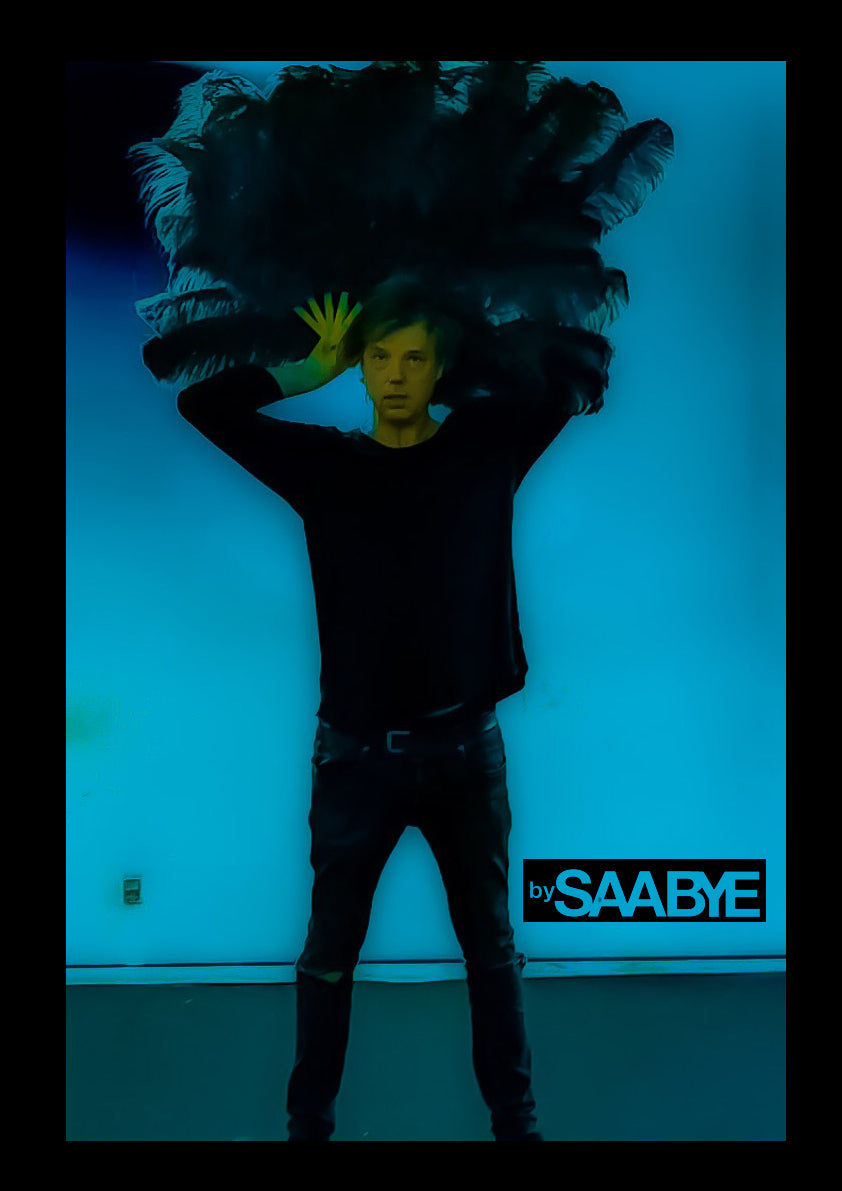 Poster - Feather